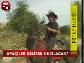 Apaciler Gelirse Ne Olacak