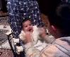 bilal bebek