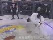 valetudo k1,ultimate fighting championship  brutal