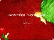 Yasamaya Dair Nazim Hikmet