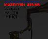 müzeyyen senar saygı klibi (Yalçın Mıhçı)