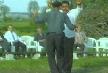 harmanc�k k�selerli halil ve ramazan karde�ler cez