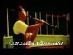 Alpay - Bune Sevgi Ah