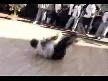dance rap junior