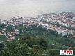 oflu*** 61