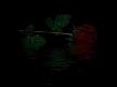 kimler doydu.dj.cobelex