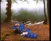 hazal