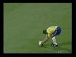 
R.Carlos'dan muhte�em Gol			
