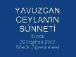 yavuzcan