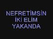 Nefretimsin artık