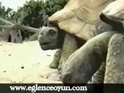 komik reklam