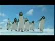 PENGUANLAR