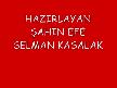 muhsin yazıcıoğlu 2. şiiri