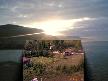 cide