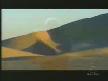 Sting - Desert Rose