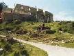 SELANİK SELANİK