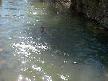 başköprü plajı