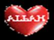 HASBİ RABBİ