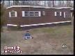 Dogs Bloopers