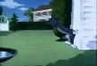 tom ve jerry 5 (Köpek Kulubesi)