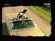 Tarkan Arada Bir