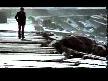 Haluk Levent - Çemberimde Gül Oya