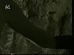 Metallica - The Unforgiven II