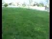 gizemli