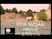 Eda avşar-perişan