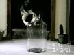 �i�edeki kedi