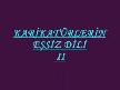 KARİKATÜRLERİN EŞSİZ DİLİ 2