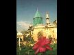 mevlana gibi