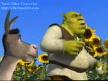 shrek konyada