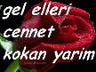 ceylan.3