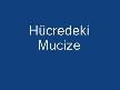 Hücredeki Mucize