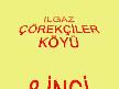 ŞENLİK 2008-1