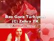 Bas Gaza Türkiyem