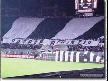 Beşiktaş Yeni Stad Projesi