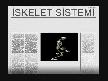 6.SINIF İSKELET SİSTEMİ