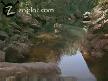 Avustralyanin Ilgin� Hayvanlari