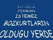 BİR MEHMETÇİK ŞEHİT OLUR BİN MEHMETÇİK DOĞAR...SON