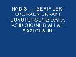 ALİ ERCAN-MEDİNEYE VARAMADIM
