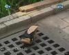 Kamera �aka yard�m sever insanlar