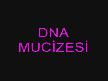 DNA MUCİZESİ
