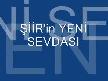 şiirin yeni sevdası