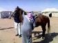 Etekl� Arap Ata B�nmeye Cal�s�yor
