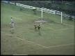 yok b�yle gol ka��ranlar			