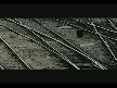 MAZLUM ÇİMEN-BAŞIMIN BELASI