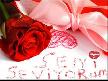 aşık gülabi dünya kadar seni sevsem