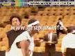 Basketbol show